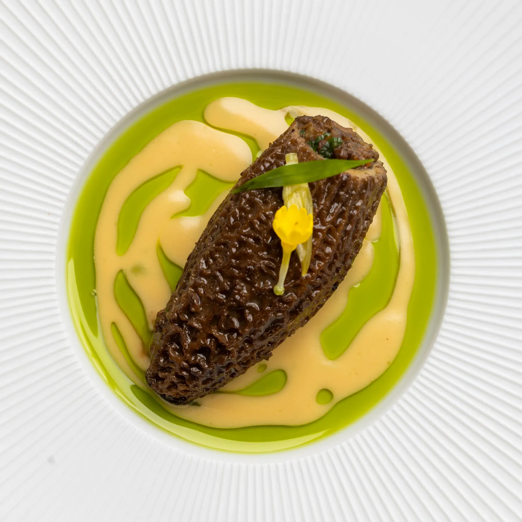 Un plat avec une tranche de truffe noire posée sur une sauce verte et jaune
